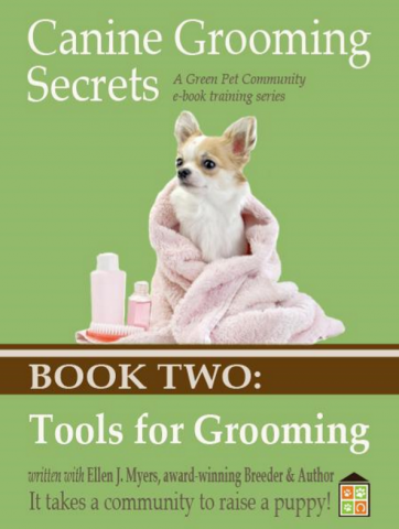 best dog grooming tools